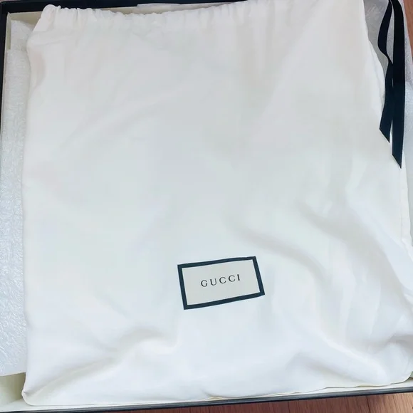 Gucci Limited Edition Sylvie 1969 Plexiglass Mini Bag w/ gold hardware and chain - Picture 6 of 16